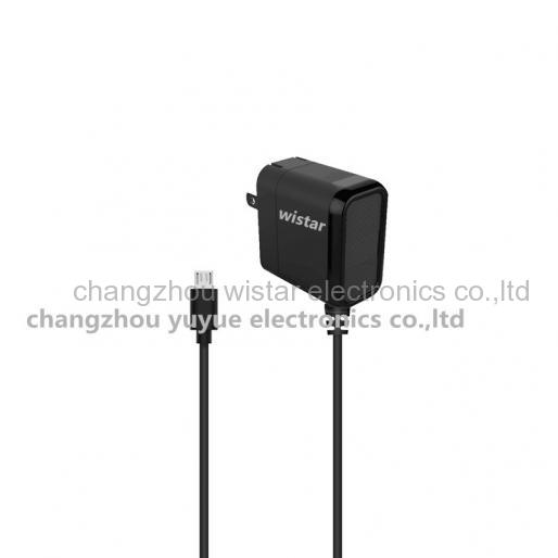 Wistar CC-2-12 wall charger with type c cable